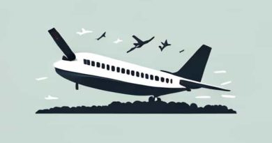 Korea Plane Crash News