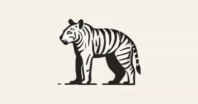 Kruger P 72 Archimedes