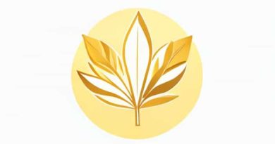 Lidl Goldfield Tabak Xxl