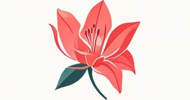 Lily Rose Depp Boyfriend