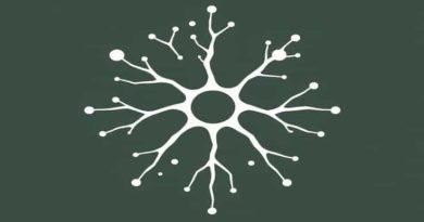 Neurons Are Made Up Of Milady