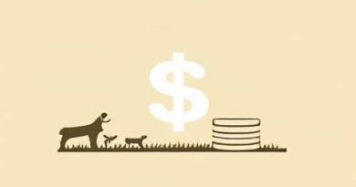 Odisha Budget Outlay For Rural Development