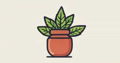 Once A Pothead Always A Pothead