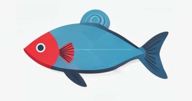 Plastic Will Outweigh Fish By 2050