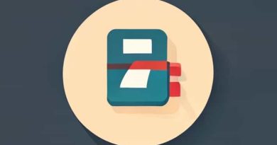 Point Permis De Conduire Recuperation