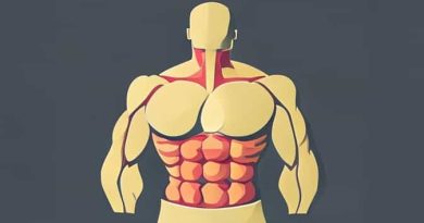 Primary Muscles Of Mastication