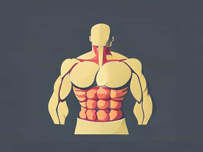 Primary Muscles Of Mastication