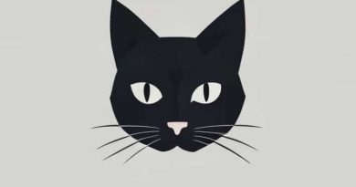 Roxas Mindoro To Caticlan