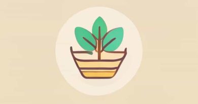 Senda De Vida Expositor 2024 Pdf