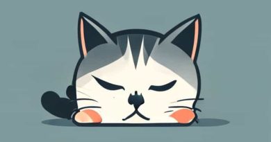 Show Me A Picture Of Catnapped