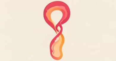 Site Of Fertilization In Fallopian Tube