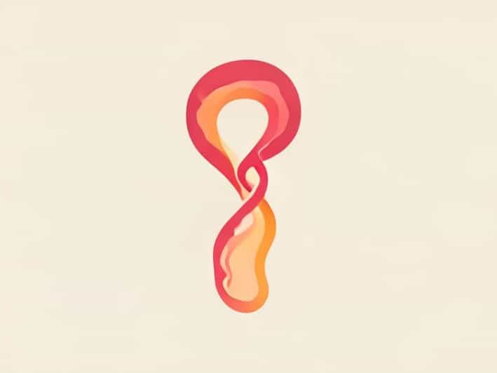 Site Of Fertilization In Fallopian Tube