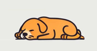 Sleeping Dogs Definitive Edition System Requirements