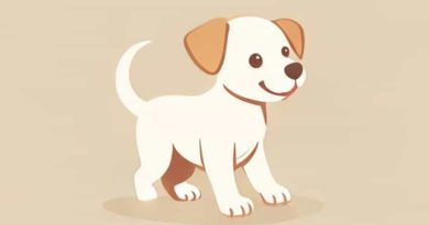 The Puppy Wagged Its Tail Quickly