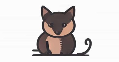 The Runt Of The Litter Cat