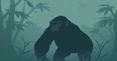 The Word Obviate Most Nearly Means