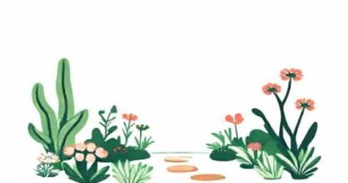 This Is Scrump I Made Her