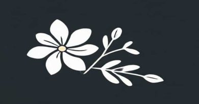 Thornless Loganberry Plants For Sale