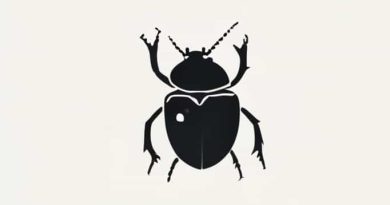 Ultimatum Scarab Of Catalysing