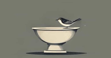 Vintage Birdbath For Sale