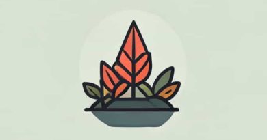 Where Is Tupungato Located