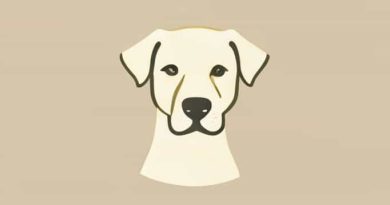 Yeast Hypersensitivity In Dogs