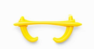 Yellow Elastic Cartilage Location