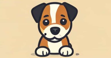 Zak George Puppy Socialization