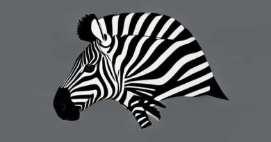 Zebra Danio Harlequin Rasbora