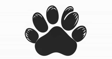 Zesty Paws Alaskan Oil