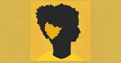 Zimbabwe Diaspora Remittances 2023