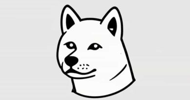 Zinc Responsive Dermatosis Akita