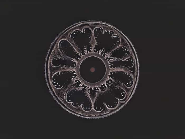 Zooming Into Mandelbrot Set