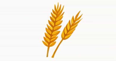 A Measure Of Wheat For A Penny