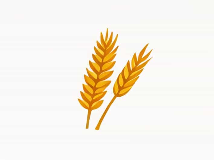 A Measure Of Wheat For A Penny