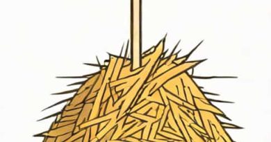 A Needle In A Haystack Meaning