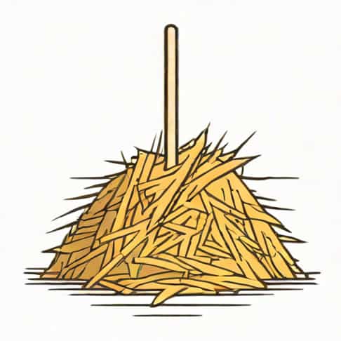 A Needle In A Haystack Meaning