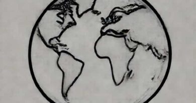 About Continental Drift Theory
