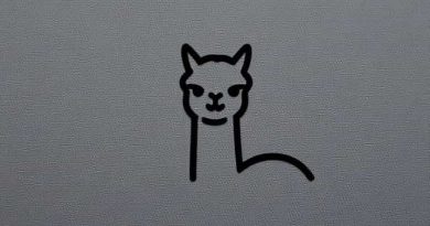 Alpaca Superfine Incalpaca Tpx