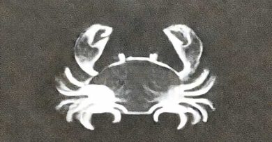 Another Crab'S Treasure Flotsam