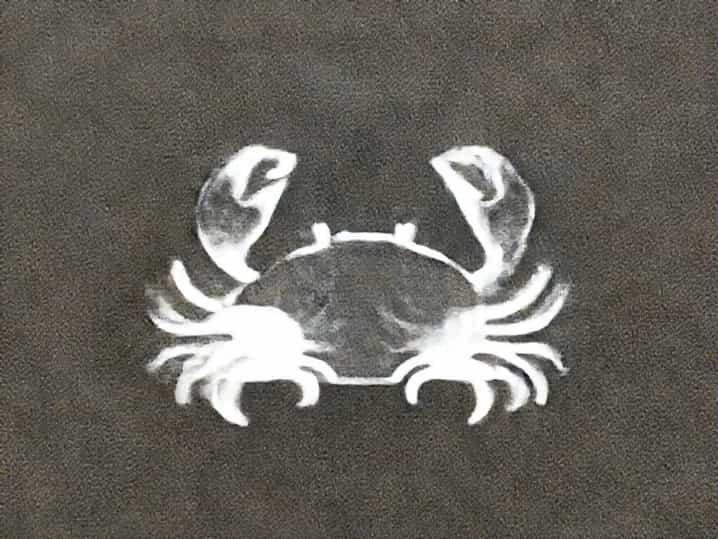 Another Crab'S Treasure Flotsam