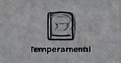 Another Word For Temperamental