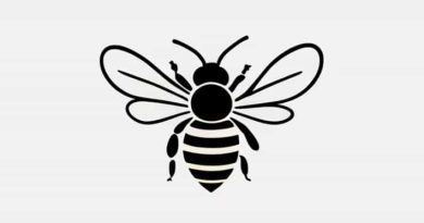 Bee Gees How Deep Is Your Love