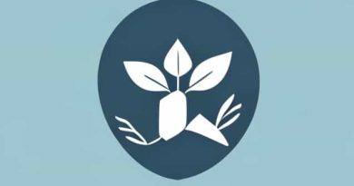 Best Symbiosis College For Mba