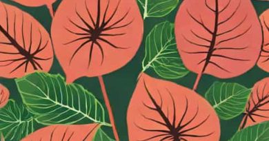 Caladium 1000 Ch Uses In Hindi