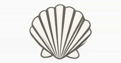 Calcareous Shell Is Made Up Of