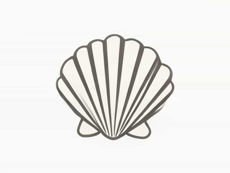 Calcareous Shell Is Made Up Of