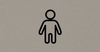 Can A Character Be A Microcosm