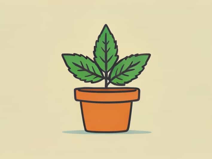 Can A Pothead Be A Good Parent