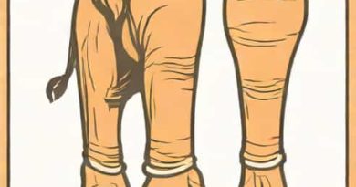 Can You Die From Elephantiasis